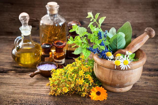 Fytoterapie - přírodní medicína | Herbavis